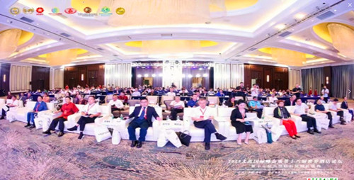 QQ20250727-180442_副本.jpg