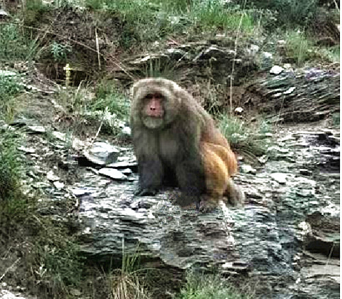 QQ20250806-192229_副本.jpg