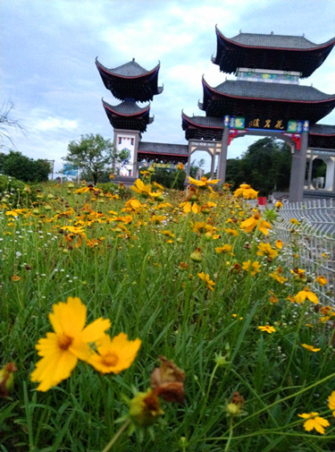图片1.jpg