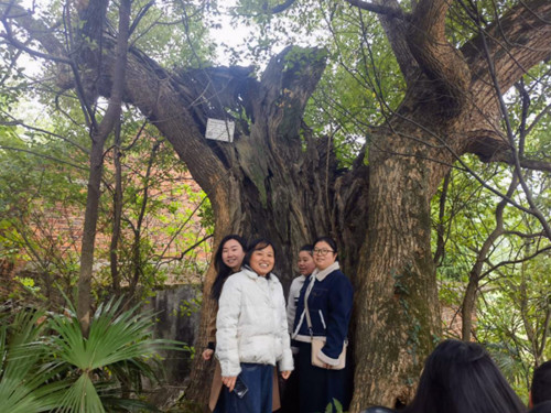 1761550851442449.jpg QQ20251027-153727_副本.jpg