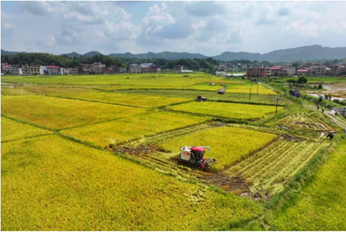 1762438993450269.jpg QQ20251106-221817_副本.jpg