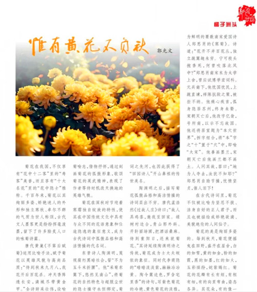 1762684225714651.jpg QQ20251109-182705_副本.jpg