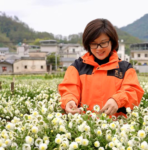 1764155373110017.jpg 图片1_副本.jpg