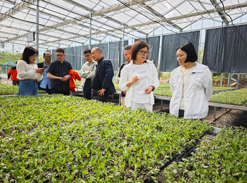 1764155413910091.jpg 图片3_副本.jpg