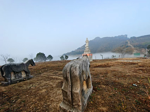 1768186569106768.jpg 图片3.jpg