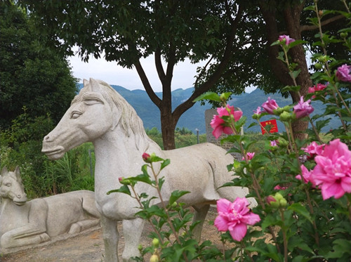 1768186648780499.jpg 图片7.jpg