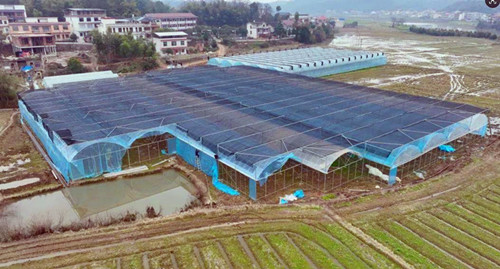 1768270115202073.jpg 图片4.jpg