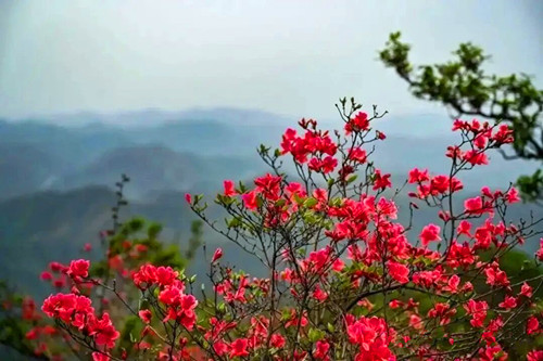 1774534395123612.jpg 640 (1).jpg