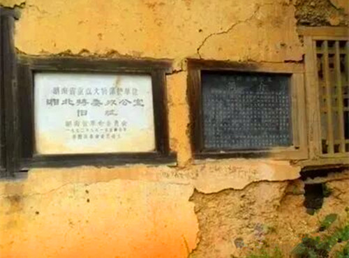 1774534446904149.jpg 640.jpg