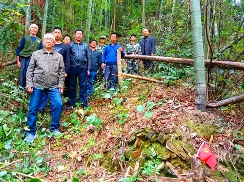 1774534596199279.jpg 640 (4).jpg