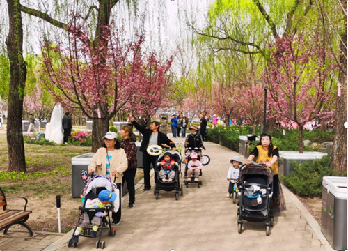 1775473721104977.jpg QQ20260406-185214_副本.jpg